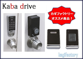 Kaba drive カバドライブ